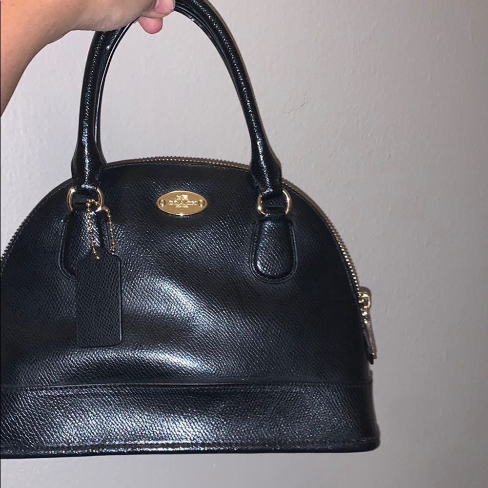 Small coach minibag